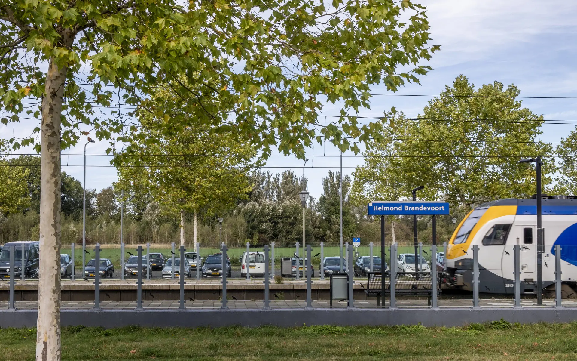 Nieuw Brandevoort Helmond - impactproject NGF