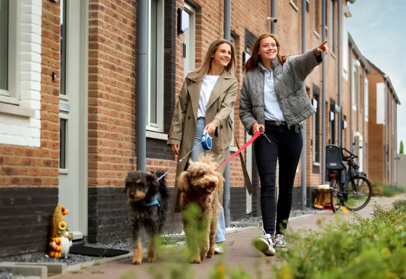 starters - hendriksmaakthet.webp