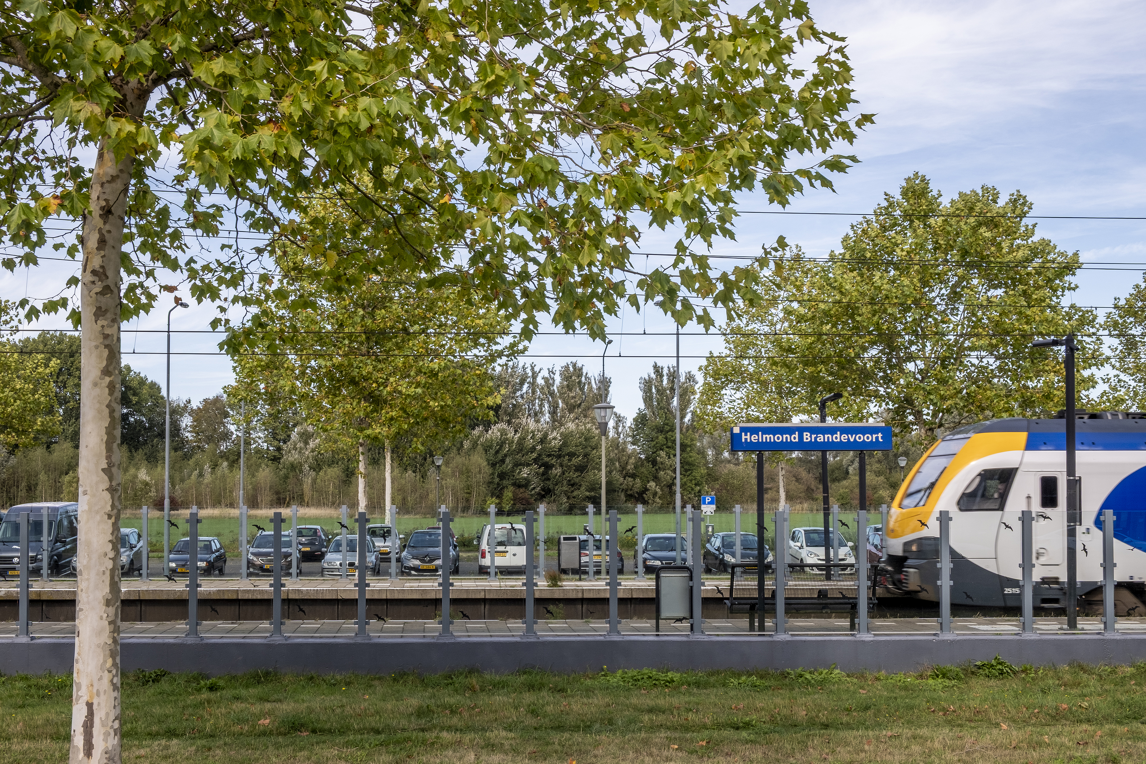 Gebiedsontwikkeling Nieuw Brandevoort.jpg