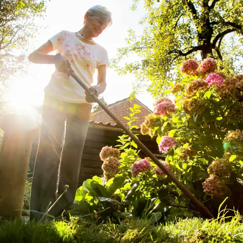 Mevrouw in de tuin - hendriksmaakthet.webp
