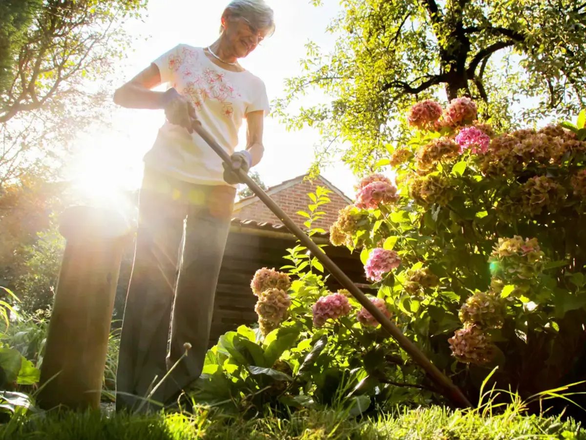 Mevrouw in de tuin - hendriksmaakthet.webp