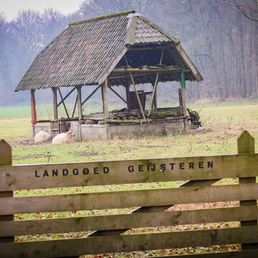oostrum-oost-web.jpg