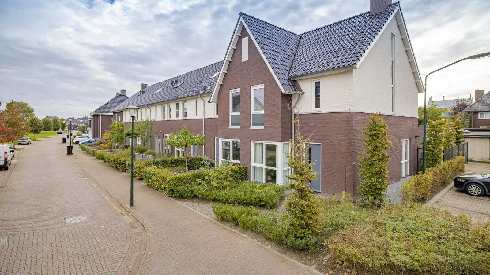 Dorsveld 2