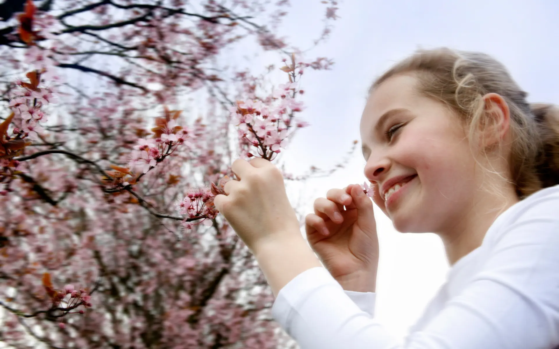 Meisje Hendriks maakt het - Oss.jpg