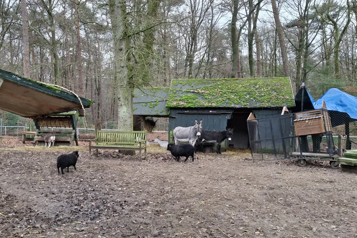 Initiatief ZZG Zorgroep HMHS 2025.jpg