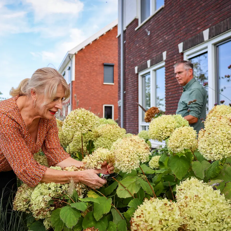 Bewoners Hendriksmaakthet Oss.jpg