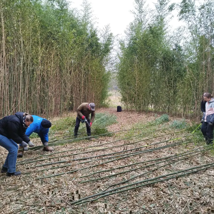 Nieuws- Bouwen met bamboe 5.jpg