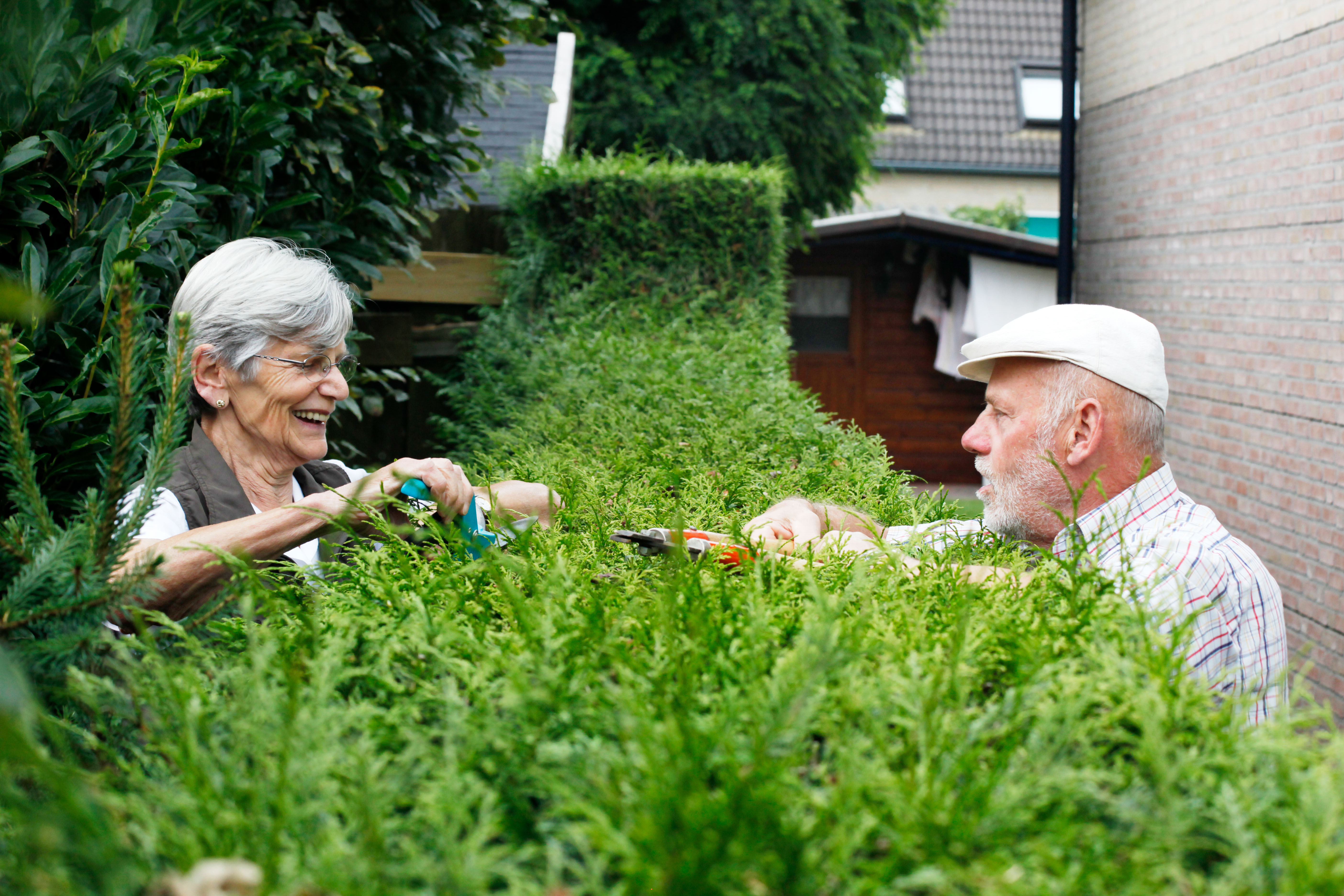 Foto Wim Roefs -Hendriks (4).jpg